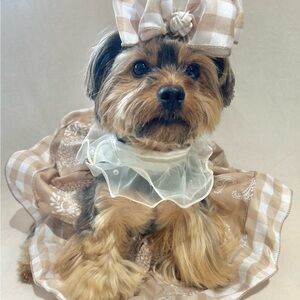 Sweet Tan and White checkered Dog Tutu Dress